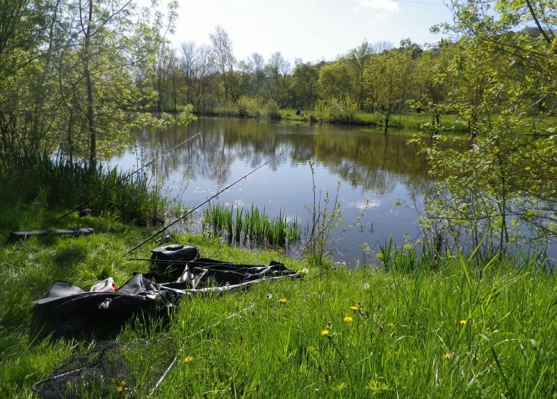 Pêche dans les boires de la Nigaudière et de la Rompure