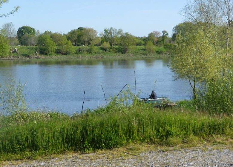 PÊCHE DANS LES BOIRES DE LA NIGAUDIERE ET DE LA ROMPURE