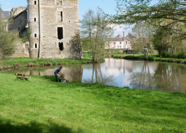 Étang de pêche du Château