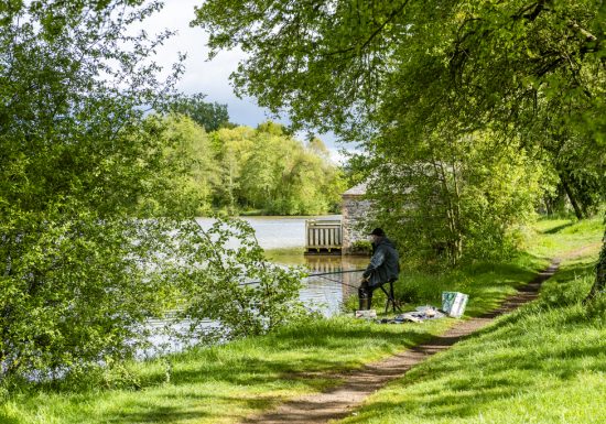 Aire de pique-nique de la Coudraie