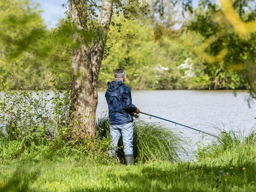 Aire de pique-nique de la Coudraie
