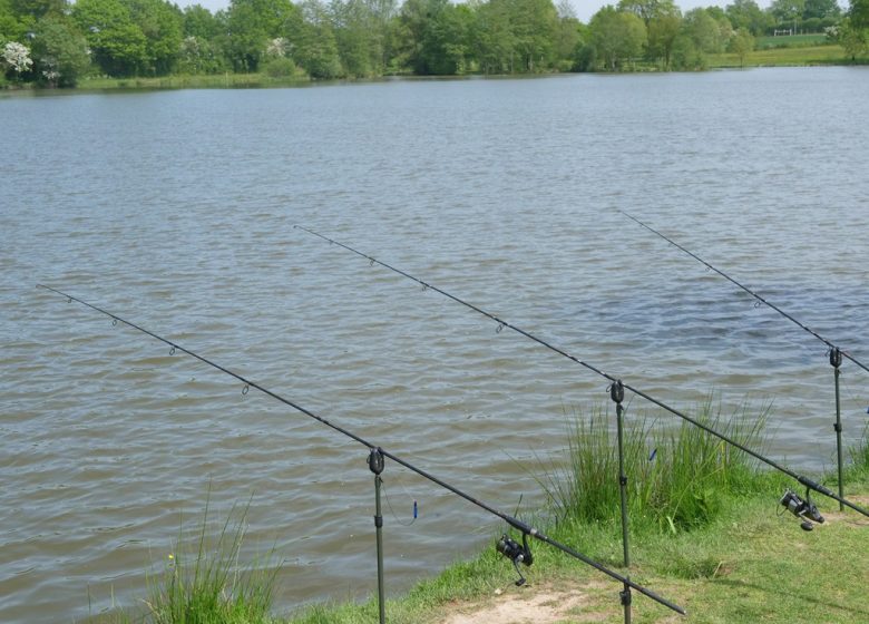 Étang de pêche la Coudraie