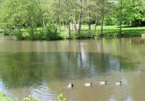 Étang de pêche du Montatais