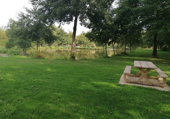 Étang de pêche de la Poitevinière