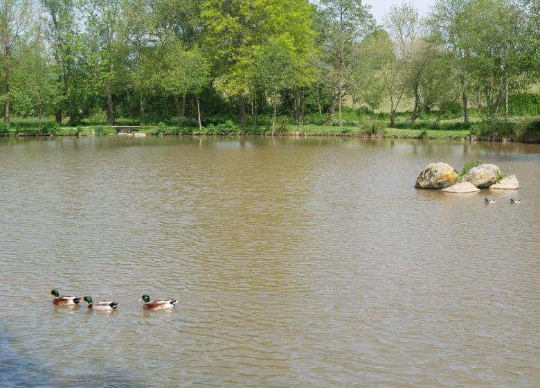 Étang de pêche de la Poitevinière