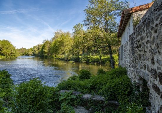 Parcours pêche de Torfou