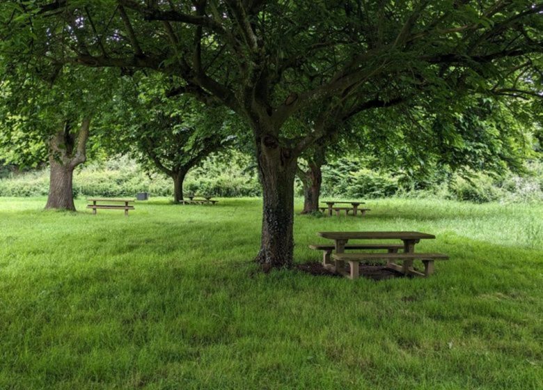 Parcours pêche de Haute Brin