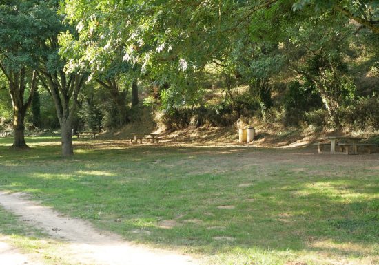 Parcours pêche de Haute Brin