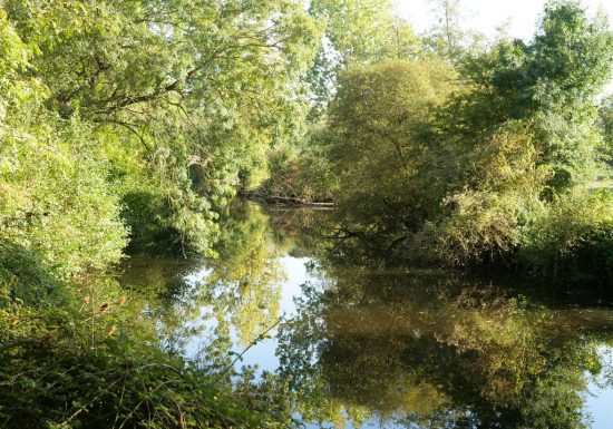 Parcours pêche de Haute Brin