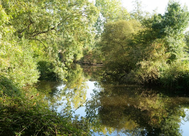 Parcours pêche de Haute Brin