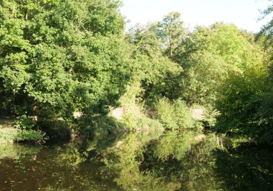 Parcours pêche de Haute Brin