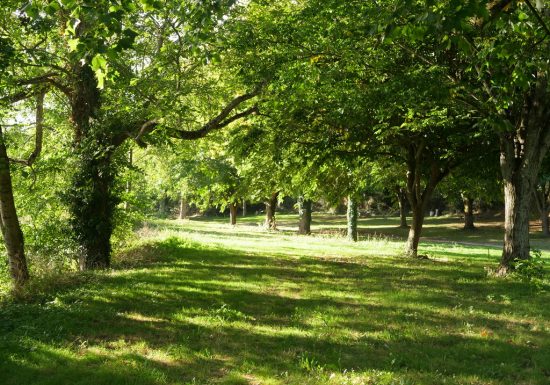 Parcours pêche de Haute Brin