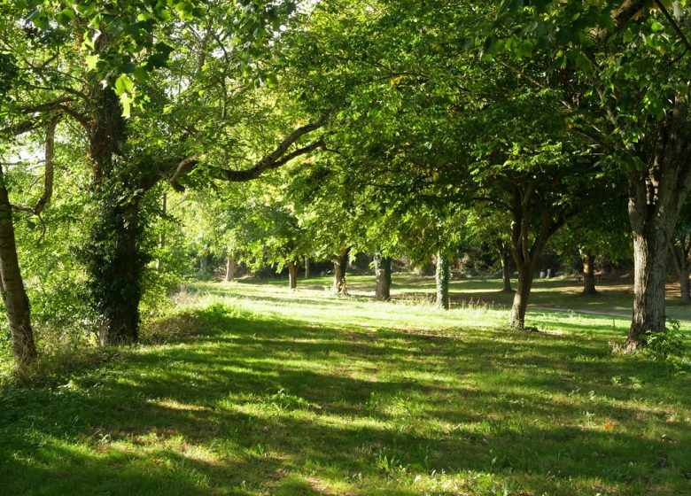 Parcours pêche de Haute Brin