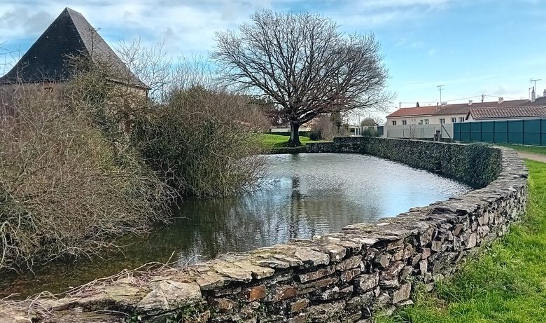 Pêche dans le plan d’eau de la Loge