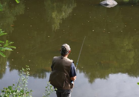 Parcours pêche de Torfou
