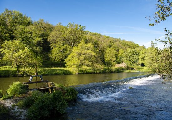 Parcours pêche de Torfou