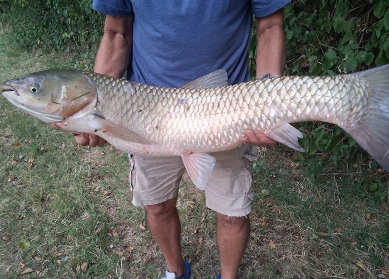 Journée pêche à la truite