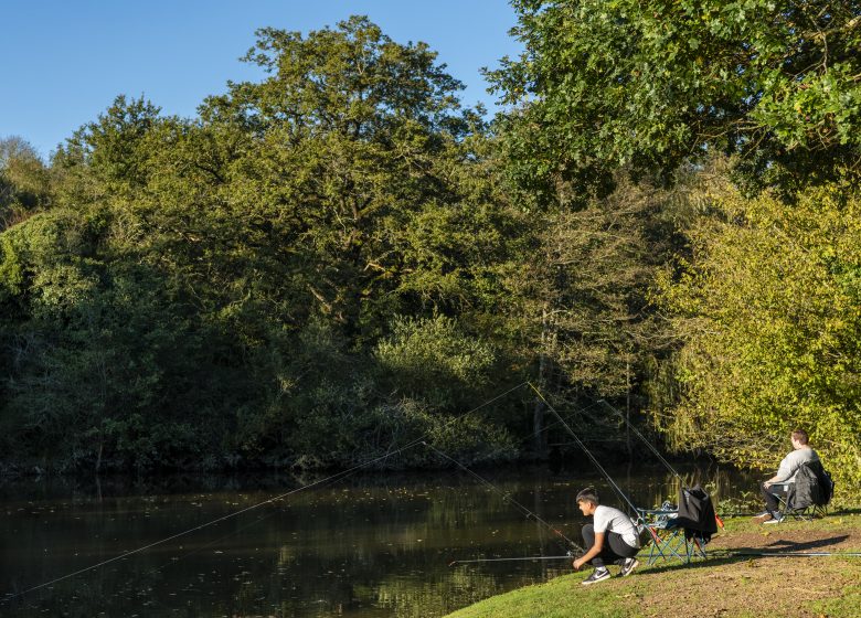 Pêche sur l’étang de Rochefort