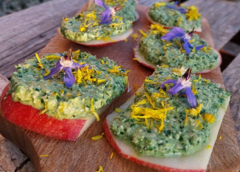 Découverte des plantes sauvages comestibles