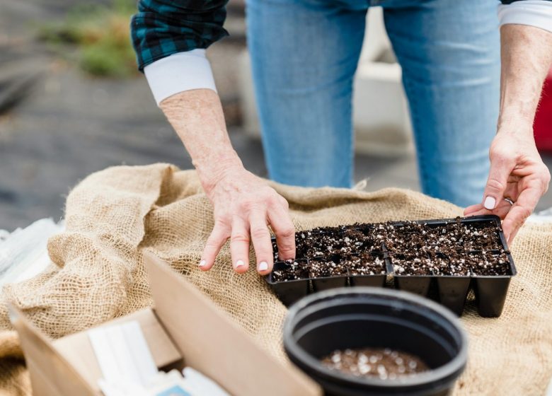 Animation 123 jardin – A la découverte des graines de haies bocagères : préparation des semis