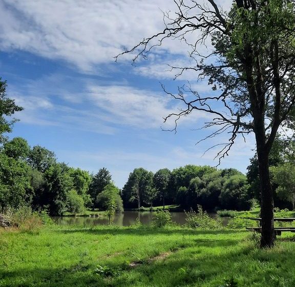 Etang de pêche à la Pierre Tournisse