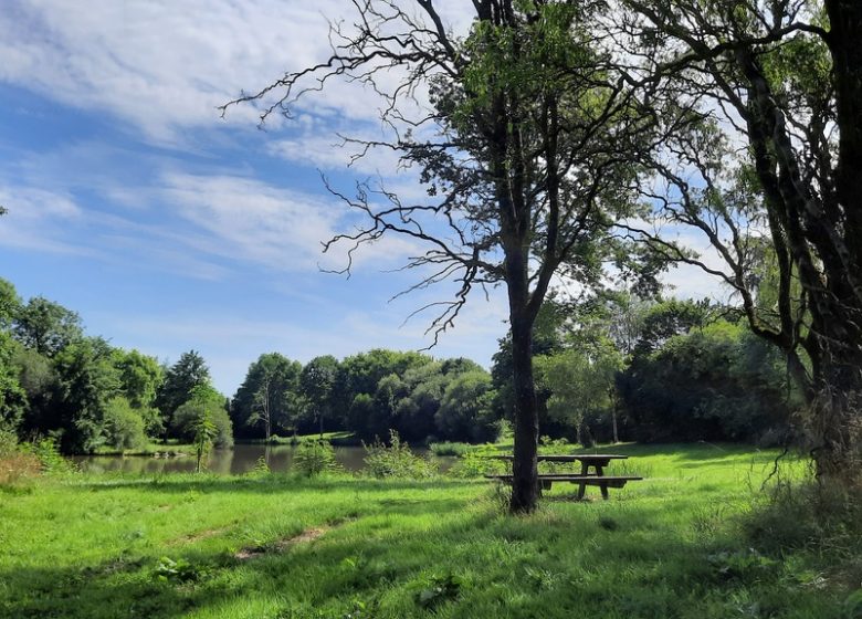 Etang de pêche à la Pierre Tournisse