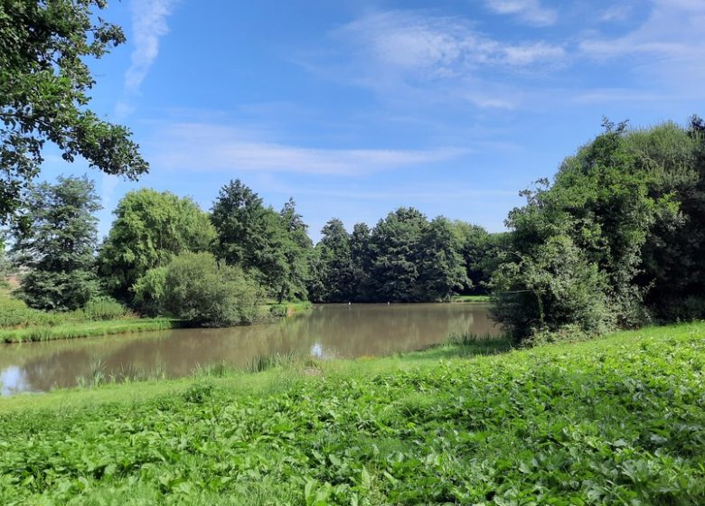 Etang de pêche à la Pierre Tournisse