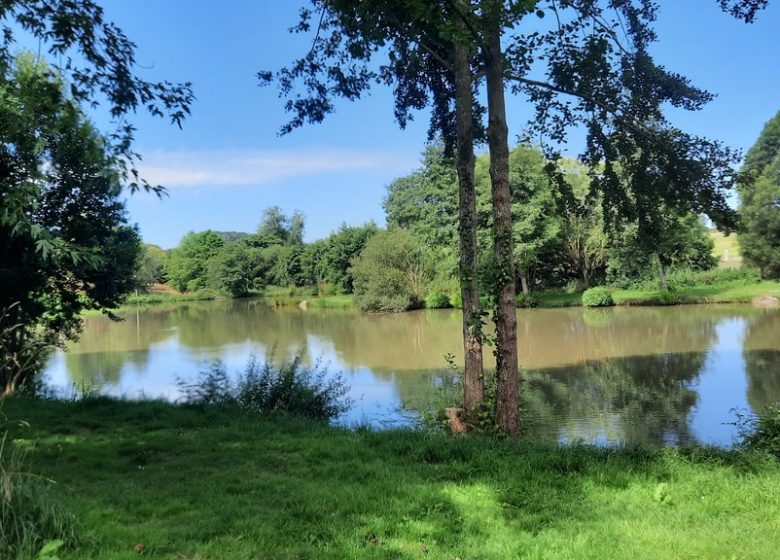 Etang de pêche à la Pierre Tournisse