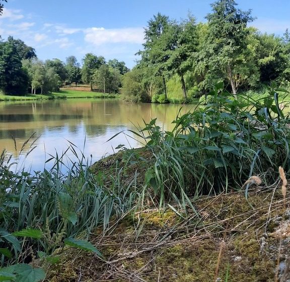 Etang de pêche à la Pierre Tournisse