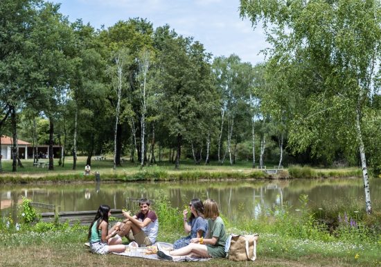 Aire de pique-nique Etang des Bruyères au Fuilet