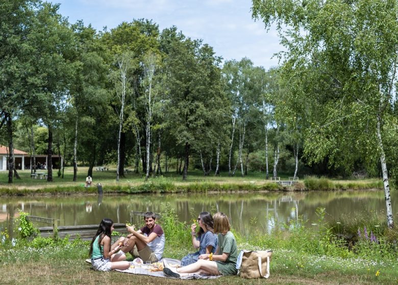 Aire de pique-nique Etang des Bruyères au Fuilet