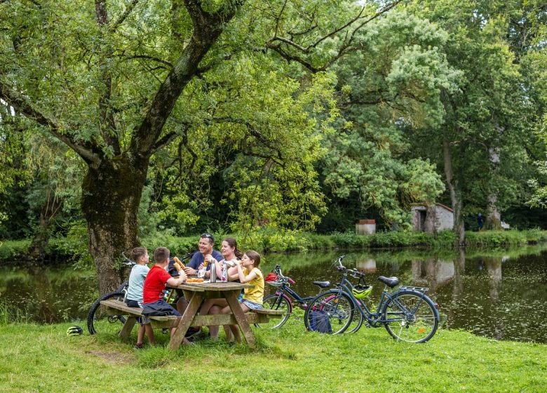 La Loire à Vélo, de Champotceaux à Liré “Entre boire et histoire”