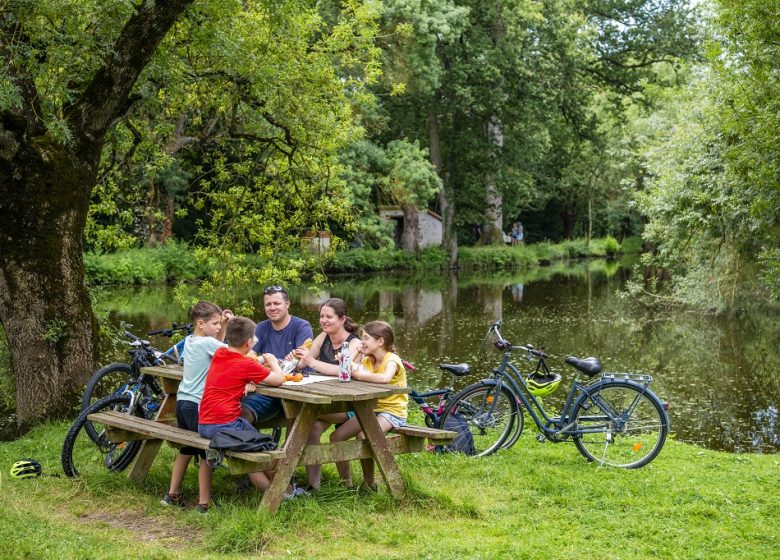 La Loire à Vélo, de Saint-Florent-le-Vieil à Champtoceaux