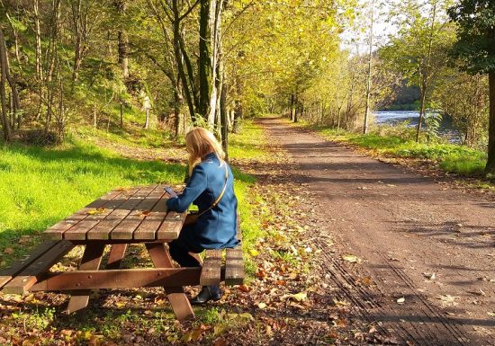 Aire de pique-nique du Foulon