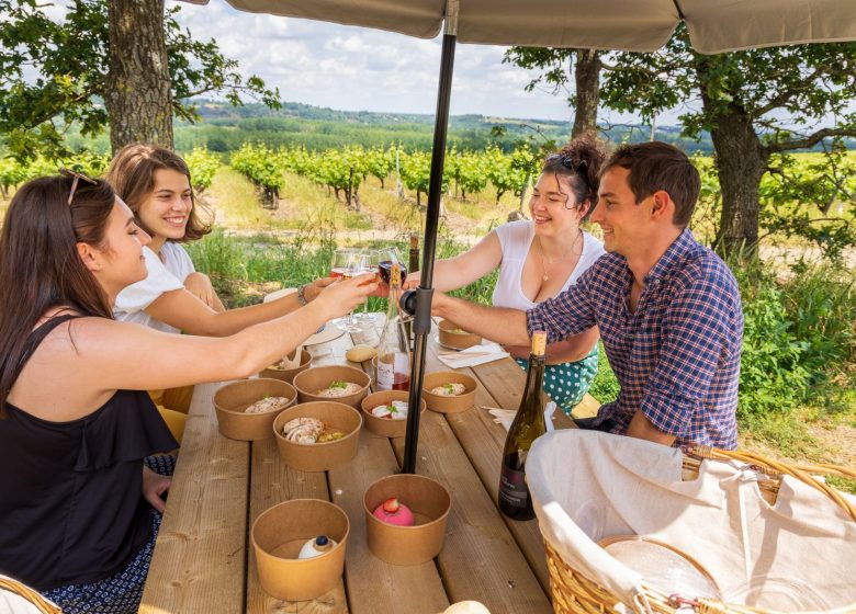 Balade et pique-nique dans les vignes au Domaine des Galloires