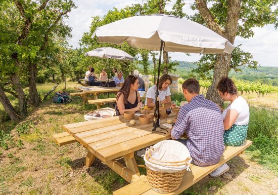 Balade et pique-nique dans les vignes au Domaine des Galloires