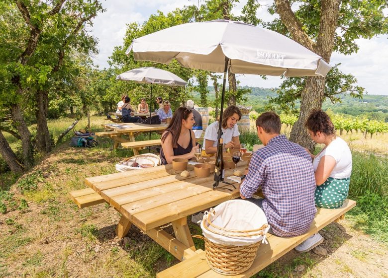 Balade et pique-nique dans les vignes au Domaine des Galloires