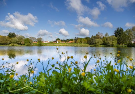 Aire de pique-nique des Lavandières