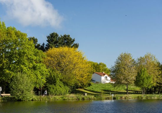 Aire de pique-nique des Lavandières