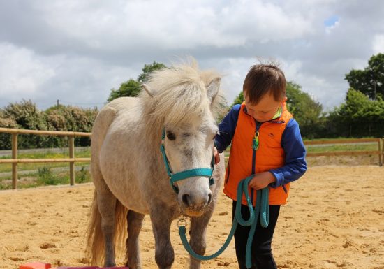 Balades équestres Vignes en Selle