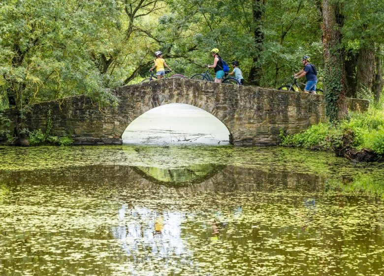 La Loire à Vélo, de Saint-Florent-le-Vieil à Champtoceaux