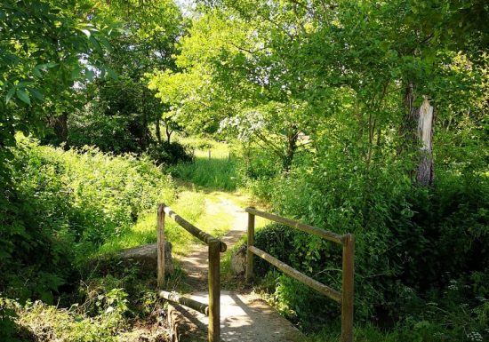 Randonnée “De la Grossière à Tiffauges”