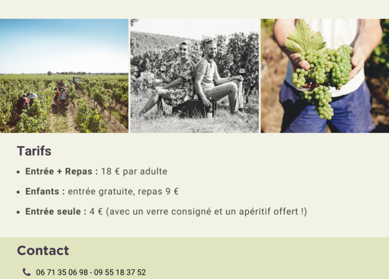 Portes ouvertes du Vignoble Vacy