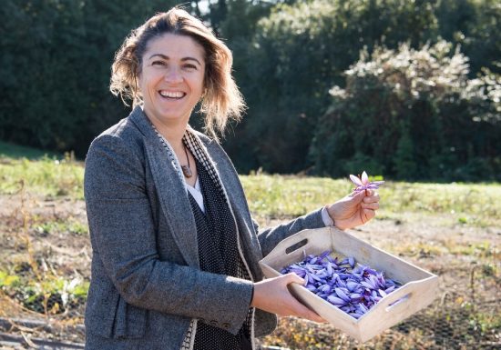 Cynfaël, le prince du safran