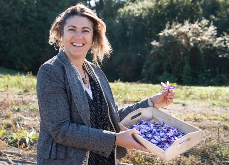 Cynfaël, le prince du safran