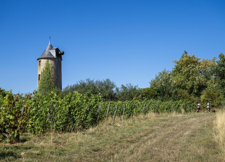 Randonnées “Des fours aux moulins”