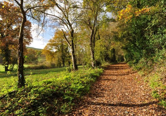 Circuit VTT “La Moine, entre granite et vignoble”
