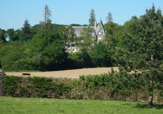Randonnée “Le bois de la Boulaie”