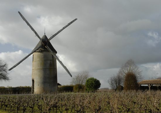 Circuit VTT “Les vignes”