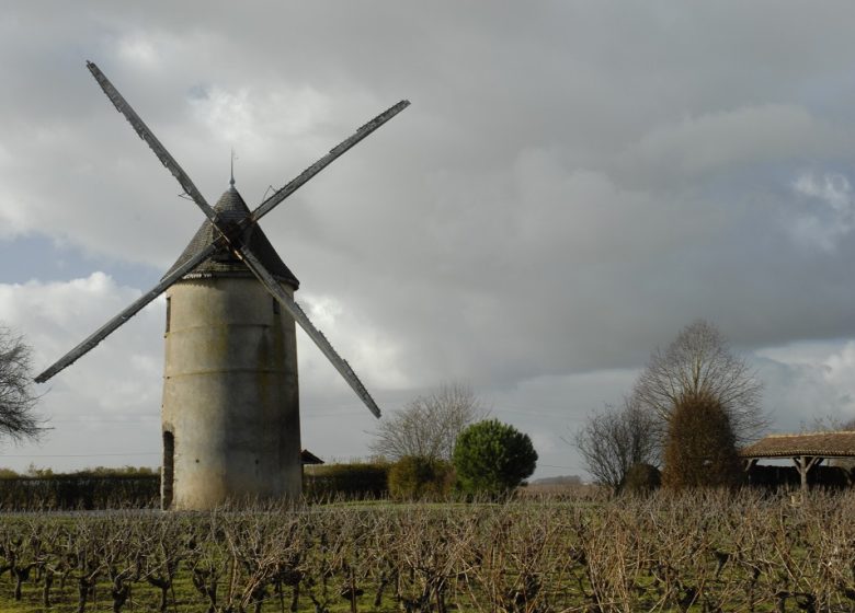 Randonnée “La cour”